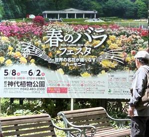 神代植物公園・ばら園 - 青山〜チトフナぱせり日記