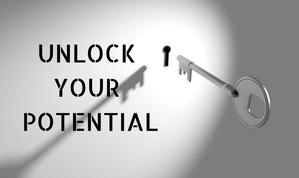 Unlock Your DIY Potential with Model Y: A Comprehensive Guide - 
