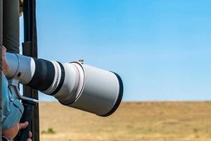 Telephoto Triumph: Mastering Photography with Telephoto Lenses - 