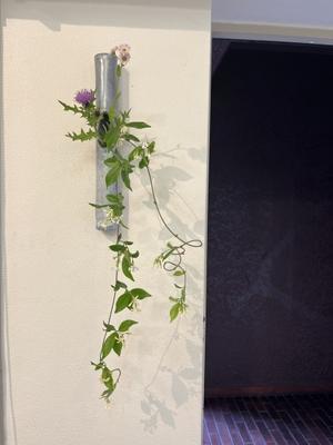 弥生窯　～ギャラリー野の花～