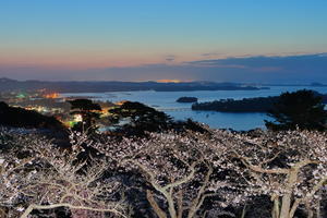日本三景松島の朝 - 
