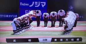 春季神奈川決勝　　武相　VS　東海大相模 - 野球まみれ