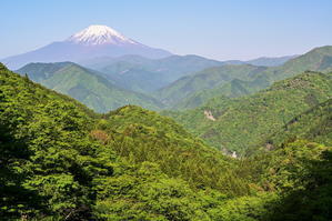 新緑と富士山２ - 風とこだま