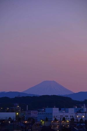夕暮れの富士山 - 
