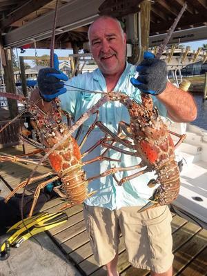Giant lobster - 