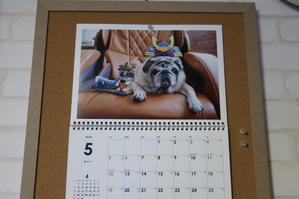 【5月のカレンダー】 - Web-Pug