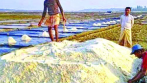 Record in salt production in 63 years of history - 