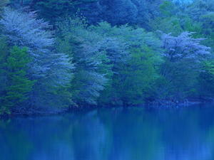 春の夜明け　田沢湖 - 
