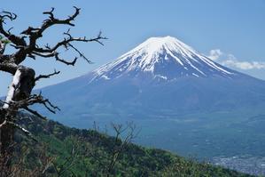 清八山から望む富士山 - 自然と仲良くなれたらいいな３