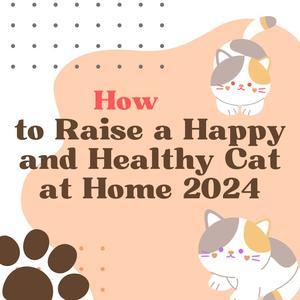 How do I raise a cat at home, the best way in 2024 - 