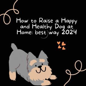 How do I raise a dog at home, the best way in 2024 - 