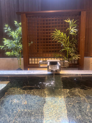 お風呂が貸切7種類あって楽しかった。　岩井湯元温泉　網元の宿ろくや - あれも食べたい、これも食べたい！ＥＸ