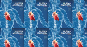 Download PDF (Book) Human Anatomy & Physiology by : (Elaine N. Marieb) - 