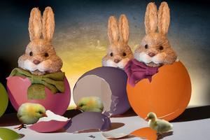 Can Rabbits Handle Lactose? Unveiling the Truth - 
