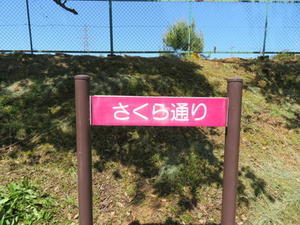 県民公園　太閤山ランドへ - 