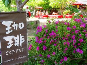 円山公園「ツツジが満開」20240425 - ヒストリカル・シェア！（京都中心の四季・歴史・祭…）