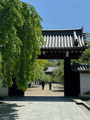 新緑の京都。も すぐに帰る - シニアna家族ブログ
