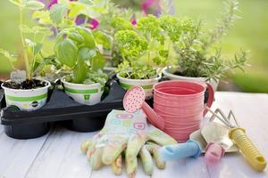 Vertical Herb Gardening Solutions - 