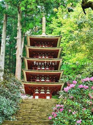 室生寺 五重塔の美しさ;･ﾟ☆､･：`☆･･ﾟ･ﾟ☆ - 