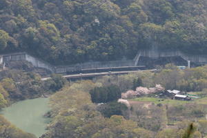 新緑と桜と緑に淀む荒川　- 2024年春・秩父鉄道 - - ねこの撮った汽車
