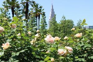 新宿御苑、整形式庭園のバラ - 
