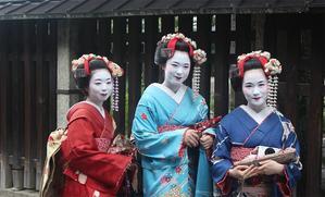Japanese Culture and TrAditions - 
