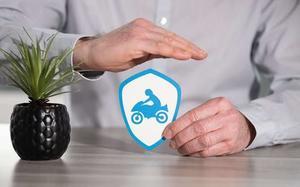 Motor Vehicle Insurance: What You Need to Know - 