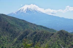 本社ヶ丸から望む富士山 - 自然と仲良くなれたらいいな３
