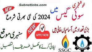 Sui Southern Gas Company (SSGC) Jobs 2024 Online Apply - 
