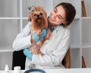 Pet Insurance UK: Caring for Your Furry (or Feathered) Friend - 
