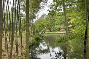須賀川牡丹園を周る - 