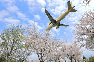 FDAとのコラボ　～丘珠空港～ - 自由な空と気まぐれと　season2 　～ 旭川空港 ～