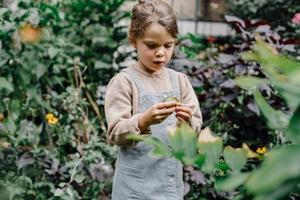 Growing a Mindful Garden: Connecting Kids with Nature and Nutrition - 
