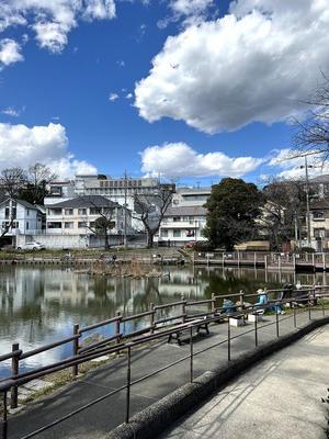 ある風景：Shirahata pond, Yokohama@Apr.2024 #1 - 