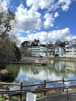 ある風景：Shirahata pond, Yokohama@Apr.2024 #1 - 