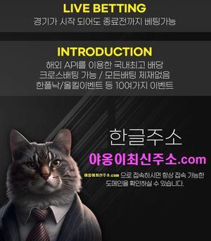  고액전용 수익창출 야옹이최신주소.com 코드 kps74 꿀팁 - 