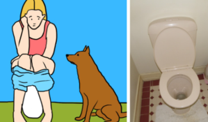 Why Your Dog Follows You to the Bathroom: Decoding Canine Behavior - 