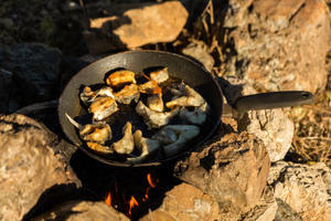 Easy Skillet Meals for Camping Trips: Quick and Delicious Recipes - 
