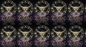 (Download) To Read Shadow Princess (Zodiac Academy, #4) by : (Caroline Peckham) - 