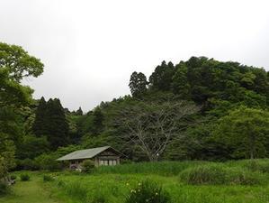 千葉県いすみ環境と文化のさとセンター