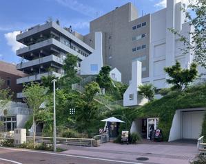 藤本壮介の「白井屋ホテル」を訪れて - トクダクション一級建築士事務所のブログ