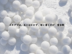 ユキダマは、玉とは書かず、球と書く　～ユキガッセン - ユキガッセン見聞縁～365days,yukigassen.