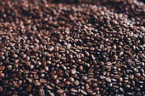 Supporting Farmers: Fair Trade Coffee Beans for a Sustainable Future - 