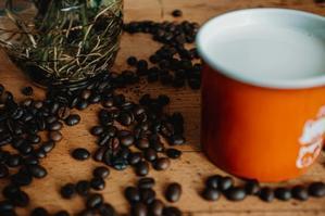 Explore the World: Single-Origin Coffee Beans from Top Regions (Like Kenya, Guatemala) - 