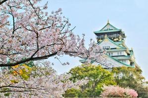 Unveiling Japan: A Journey Beyond the Cherry Blossoms - 