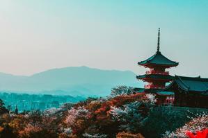 Unlocking Japan's Treasures: Exploring the Best Locations in the Land of the Rising Sun - 