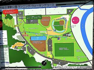福井市スポーツ公園《１》　５月９日（木） - 一枚の板に
