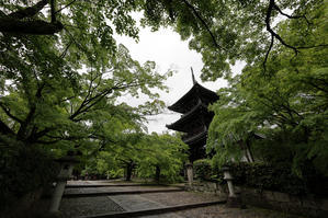 新緑の京都2024  －哲学の道（後編）－ - ＭＥＭＯＲＹ　ＯＦ　ＫＹＯＴＯＬＩＦＥ