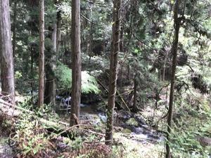 直谷　京都 北山 - ゆっくり歩こう　野山散策