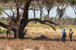 What are the benefits of safari tourism for promoting wildlife conservation,  - 